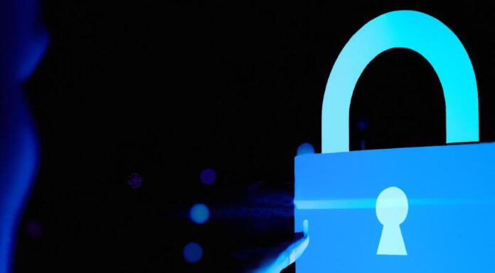 Seguridad del comercio electrónico: cómo proteger su negocio y sus clientes